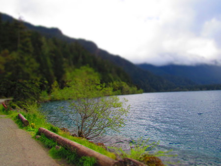 Green banks of a blue lakeの写真素材