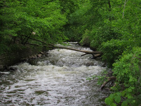Rushing river through the forestの写真素材