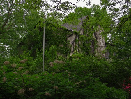 Overgrown house in the treesの写真素材