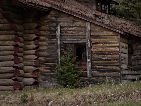 Abandoned log cabinの写真素材