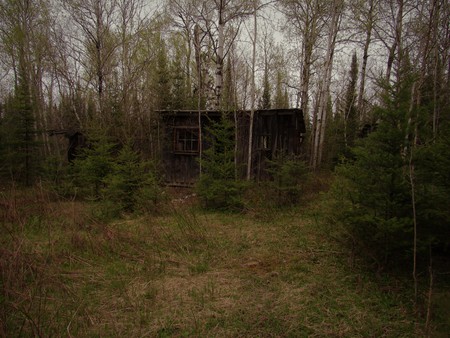 Abandoned cabin in the woodsの写真素材