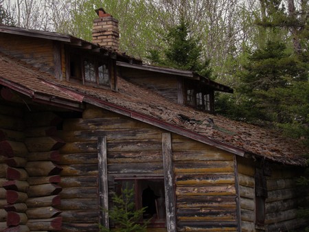 Abandoned cabin in the forestの写真素材