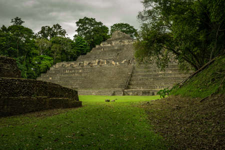 Mayan ruins in the jungleの写真素材