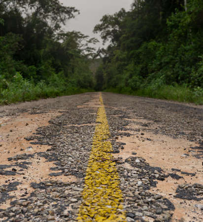 Abandoned road through the jungleの写真素材