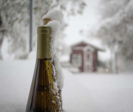 Wine bottle chilling in the fresh snowの写真素材