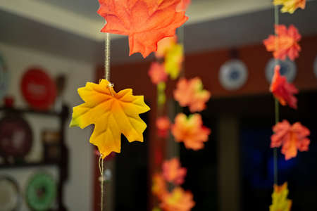 Pretty fall decorations in a warm homeの写真素材