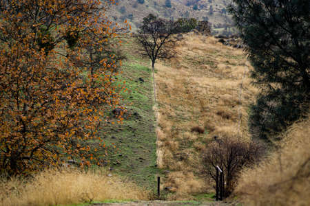 Green grass on one side of the fenceの写真素材
