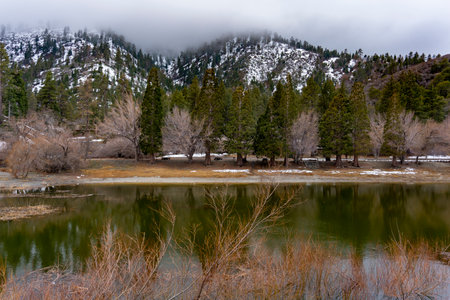 Foggy storm in the Southern California mountainsの写真素材