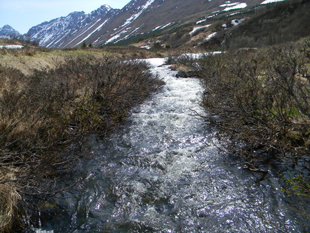 Raging spring stream in the mountainsの写真素材