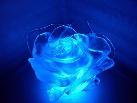 Blue ice roseの写真素材