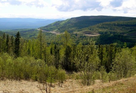 Alaska highway; road through the mountainsの写真素材