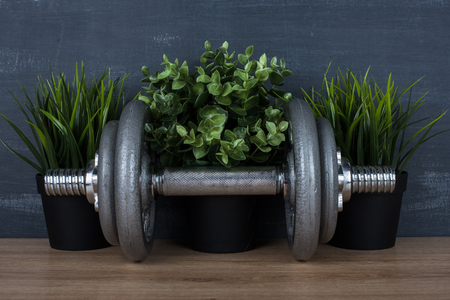 metal barbell on dark gray backgroundの写真素材