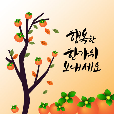 Hand drawn elegant alphabet letters font and numbers. korean new year greeting text.のイラスト素材