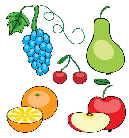 vector set of different fruitsのイラスト素材