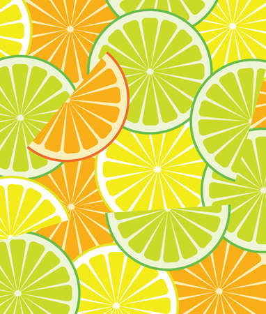 vector citrus slices のイラスト素材