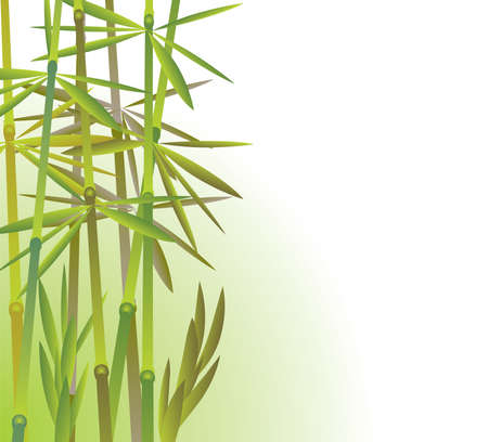 Bamboo, vector illustrationのイラスト素材