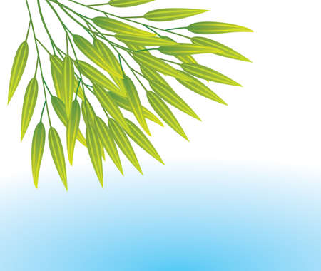 vector illustration of bamboo leaves over waterのイラスト素材