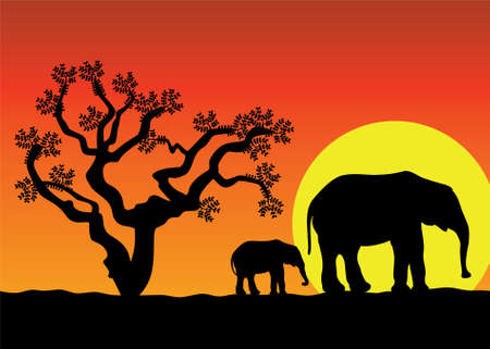 illustration of elephants in africaのイラスト素材
