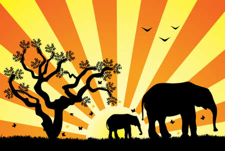 two elephants on retro backgroundのイラスト素材