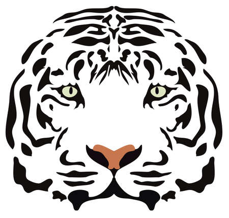 image of tiger head のイラスト素材