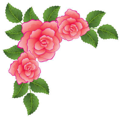 roses with leaves のイラスト素材