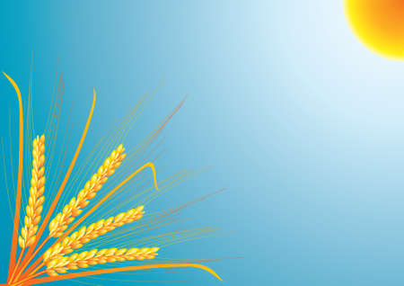 bunch of vector ears のイラスト素材