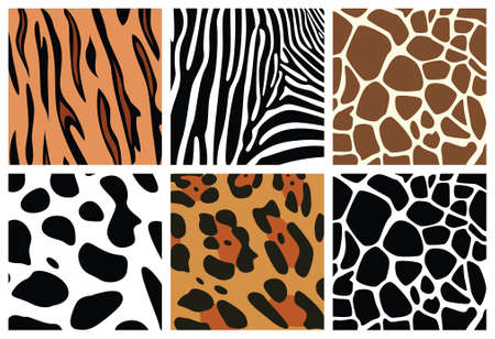 vector animal skin textures of tiger, zebra, giraffe, leopard and cowのイラスト素材