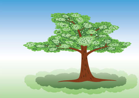 tree with shadowのイラスト素材