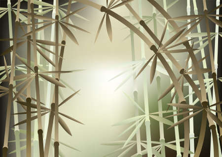 illustration of bamboo forestのイラスト素材