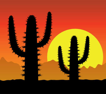  cactus in desertのイラスト素材
