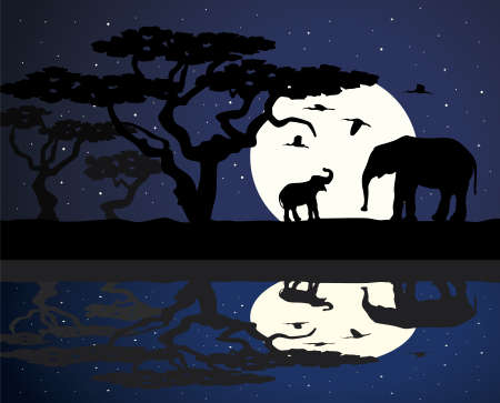 mother elephant and baby elephant in africa near water at nightのイラスト素材