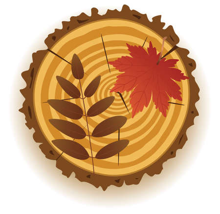 wooden cut and autumn leavesのイラスト素材
