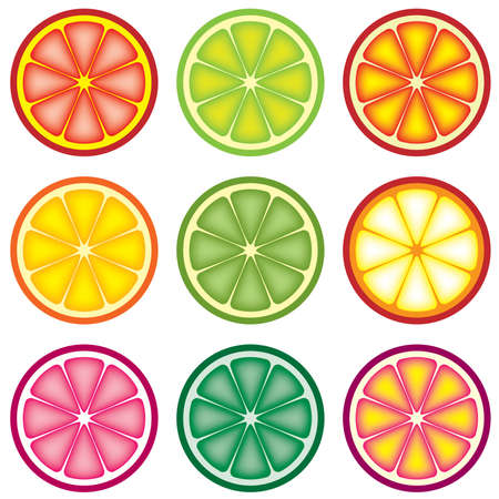 vector set of colorful citrus slicesのイラスト素材
