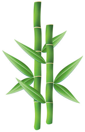 illustration of bamboo brunchesのイラスト素材