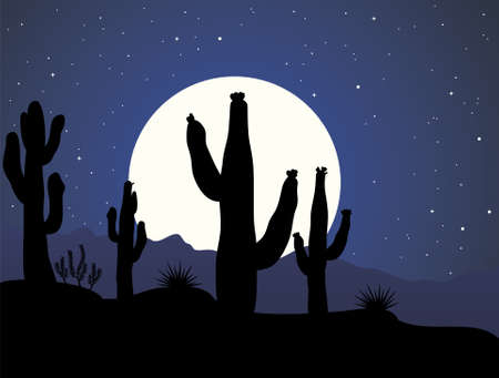 vector cactus in desert at nightのイラスト素材