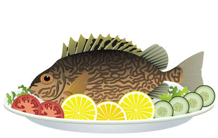 cooked fish and raw vegetables on a plate