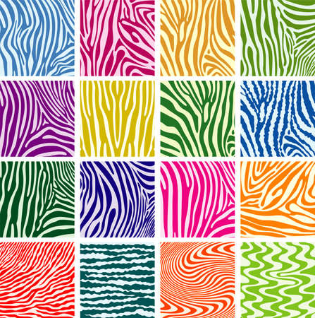 vector set of colorful skin textures of zebraのイラスト素材