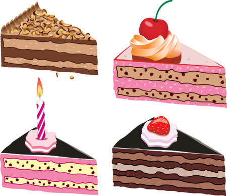 cake slices with fruits, chocolate and candle