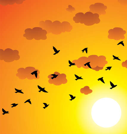 vector flock of flying birds, clouds and bright sun at sunset or sunriseのイラスト素材