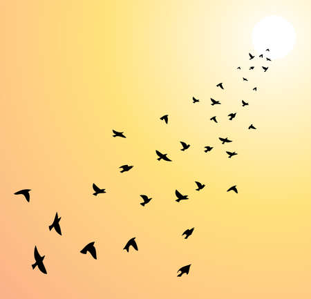 vector flock of flying birds towards bright sunのイラスト素材