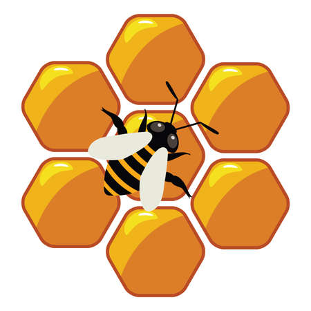 symbol of working bee on honeycellsのイラスト素材