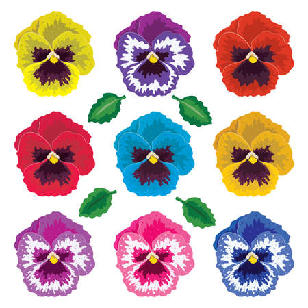 collection of pansy flowers and leavesのイラスト素材