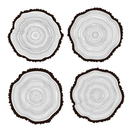 vector set of black and white wooden cuts of a tree log with concentric rings and barkのイラスト素材