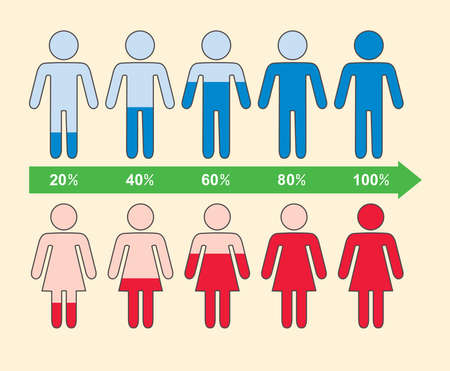 Infographic of percentage chart with symbols of people, blue males and red females human figures, graphic diagram of population, flat style designのイラスト素材