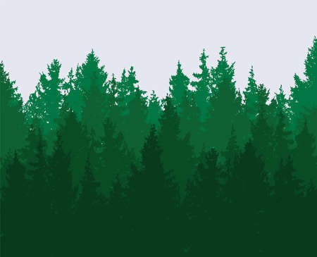 vector forest background. green spring woods, nature landscape with evergreen coniferous trees. morning woodland sceneのイラスト素材