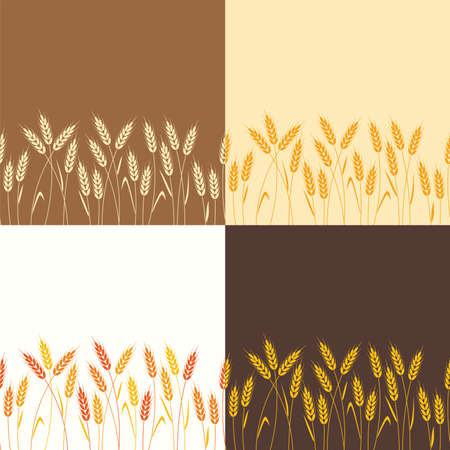 vector collection of seamless repeating wheat backgroundsのイラスト素材
