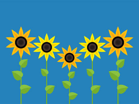 vector sunflower symbols isolated on blue background. summer garden flat illustration. group of flowering sunflowersのイラスト素材