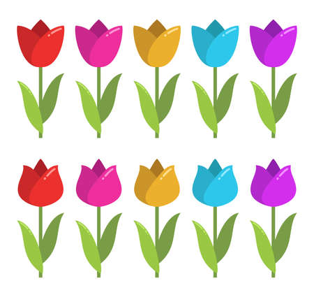 vector set of colorful tulip graphic drawings isolated on white background. beautiful tulips for decorative design. flat graphic styleのイラスト素材