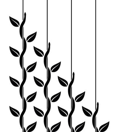 vector leadership or competition concept with climbing plants with leaves where leader is stronger than followers. climber ivy plant isolated on white background. set of decorative climbing plantsのイラスト素材