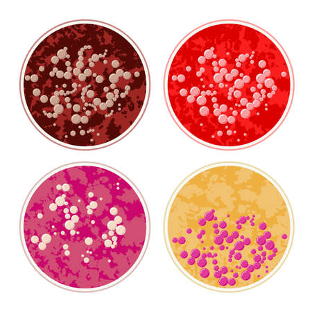 vector colorful bacteria set. bacterium in petri dishes isolated on white background. colony of bacteria under microscopeのイラスト素材